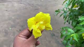 07 Days Pee In Life Peeing In Nature Vlog Ep 002