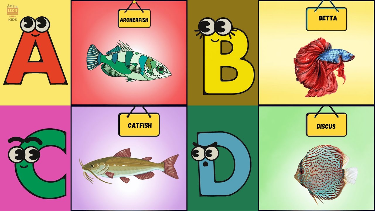 ABC Fish Song for Kids 🎣 | Learn ABC with Colorful Fish from Around the ...