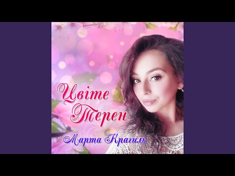 Цвіте терен