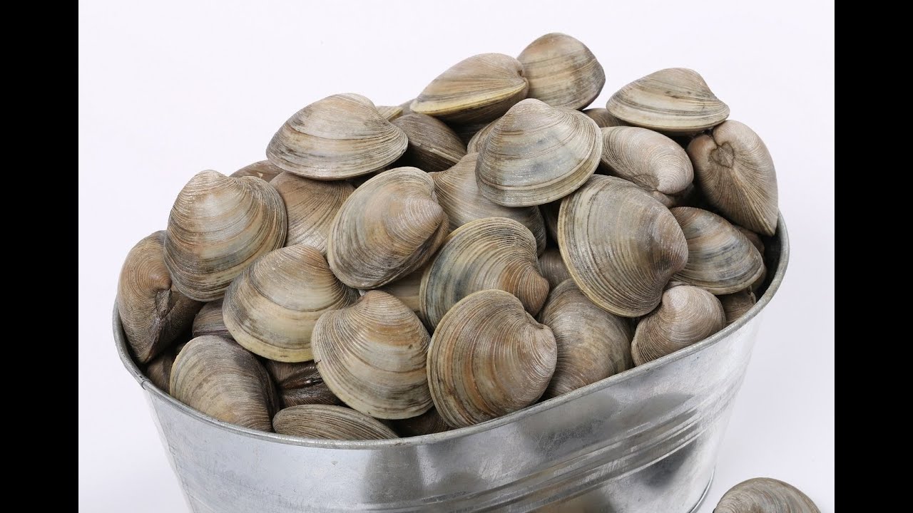 Baked Clam Casinos, Rhode Island Style.. The Real Deal YouTube