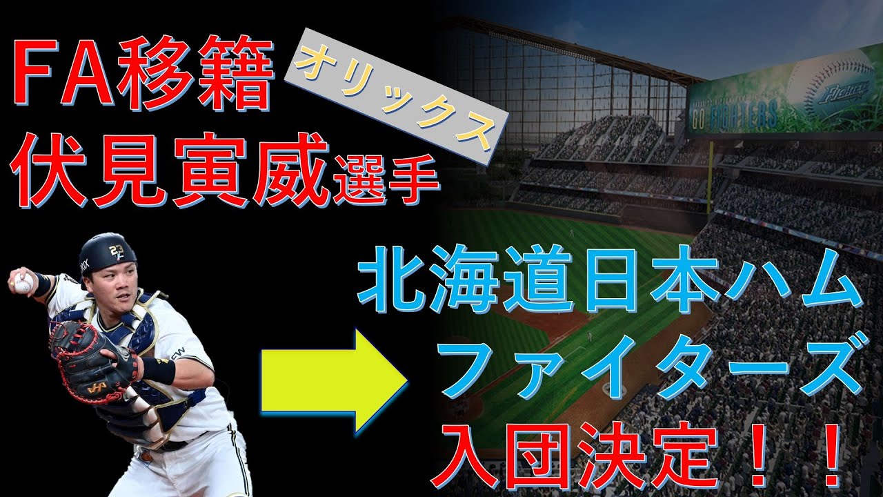 北海道日本ハムファイターズ ファンクラブ限定配布　扇子 23 伏見寅威選手