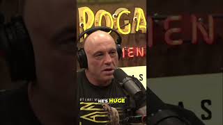 Jake Paul's Boxing Level: Underrated Heavyweight Champ? #shorts