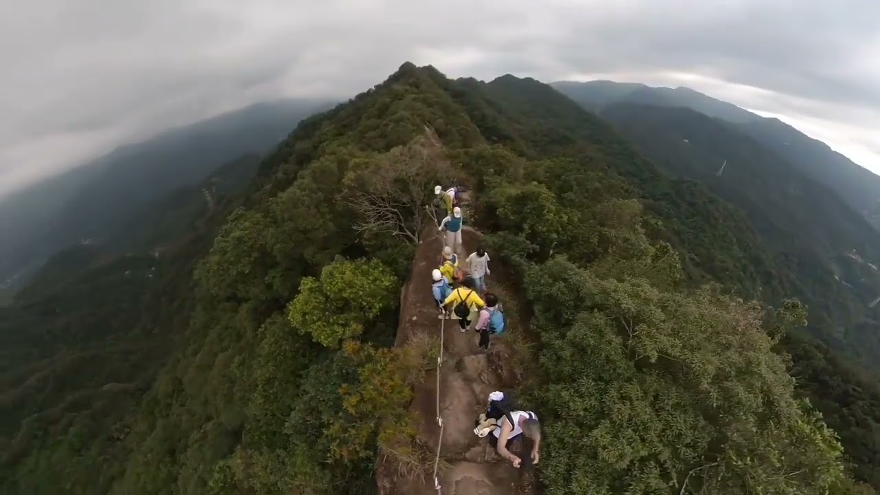 太后公主終於請出門了