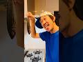 My fish was stolen by a dog 犬に魚を盗まれた #funny #shorts