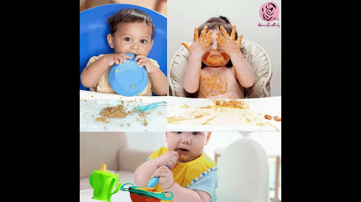 Anti-Spill bowl