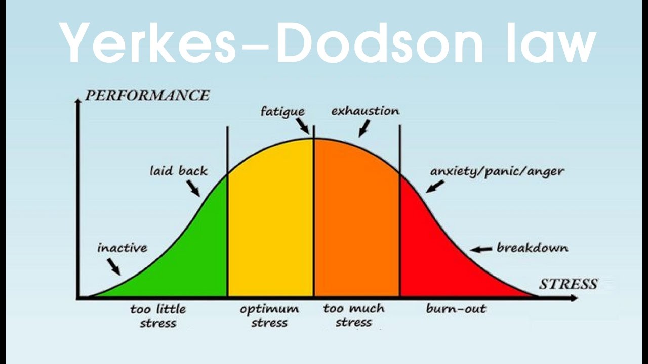 yerkes dodson law stress management