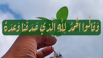 وَقَالُوا الْحَمْدُ لِلَّهِ الَّذِي صَدَقَنَا وَعْدَهُ...عمر الدريويز..سورة  الزمر