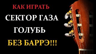 Как играть СЕКТОР ГАЗА - ГОЛУБЬ. Простые аккорды без баррэ, простой бой! Урок на гитаре, разбор