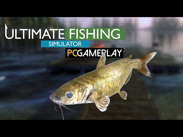 Ultimate Fishing Simulator Gameplay (PC HD) 