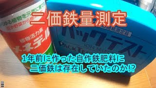 メネデールと自作鉄の二価鉄実験