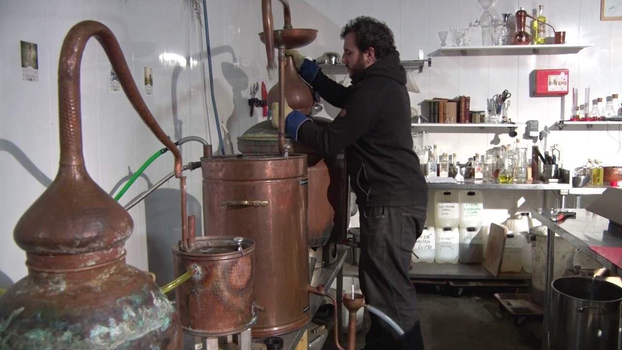 Documentaire sur l'Absinthe et la Distillerie Awen Nature par L'ESRA Bretagne