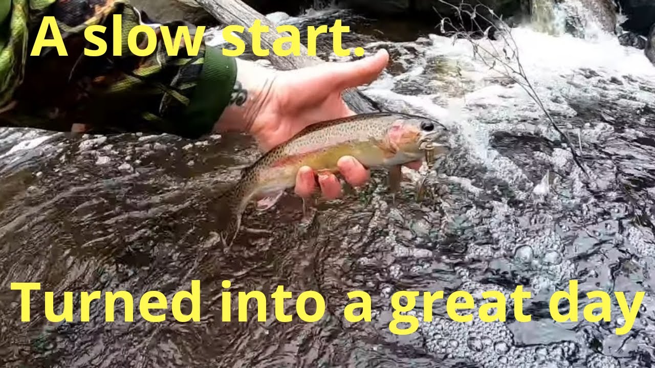 trout fishing east of Melbourne. The road to Rainbow Rock. YouTube
