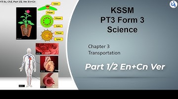 #PT3 #KSSM #Science | Form 3 | Chapter 3 | Transportation | Part 1/2, Eng + 中文