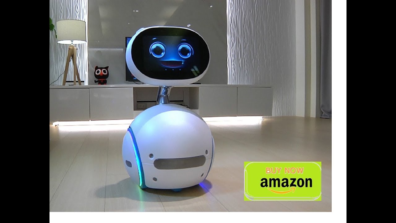 home robot amazon