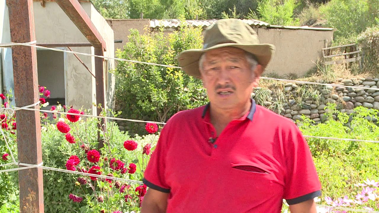 Нарын шаарында кандай жашылча-жемиштерди өстүрүүгө болот?