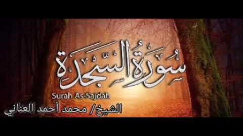 سورة السجدة/ الشيخ محمد أحمد العناني
