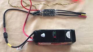 Flycolor Multi copter Speed Controller for F3A Aerobatics