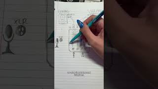 Celebrity a little learning lesson #goxlrmini #goxlr #2pcsetup #2pcsetupaudio #techgirl Net Worth