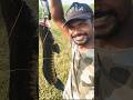 Thai Frog double spinner Review 🐸 #snakehead #fishing #review