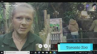 A. leboo and david go on a 'kids science virtual field trip' to the
toronto zoo meet zookeeper 2 pygmy hippos.