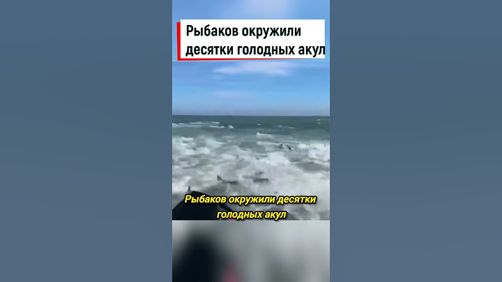 Рыбаков окружили голодные акулы #shorts #акулы