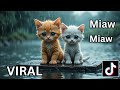 miaw miaw miaw song sad (lyrics video visual) part 8