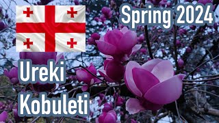 Kobuleti spring adventure. Projector school 🇬🇪 | 4K Footage