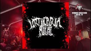 URTIKARIA ANAL EN EL MXMF NOVIEMBRE 24