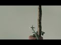 Bronze Bow Showcase 