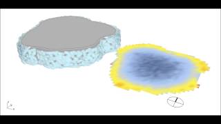 Daylight Factor Simulation