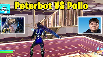 Peterbot VS Pollo 1v1 TOXIC Boxfights!