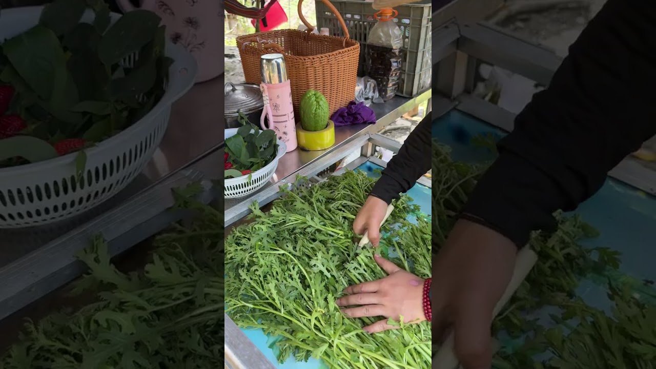 Day after day year after year