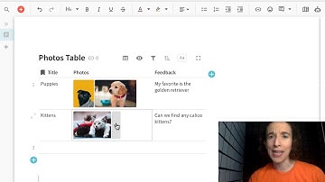How to keep your images organized with Photo Table in Coda