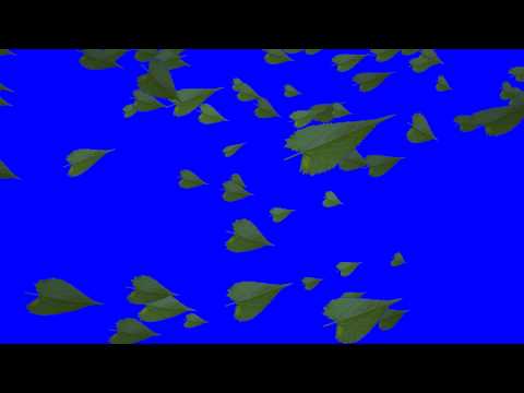 4K UHD 3Min Green Falling Leaves Pre Keyed Wedding Animation