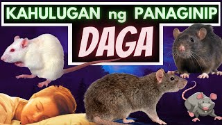 Kahulugan Ng Panaginip Ng Daga, Bubwit Ano Ang Ibig Sabihin Ng Panaginip Ng Daga? Dream Of Rat