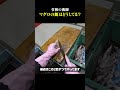 【マグロ漁師】マグロの餌はどうしてる？
