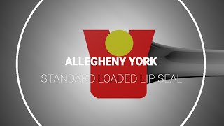 Standard Loaded Lip Seals