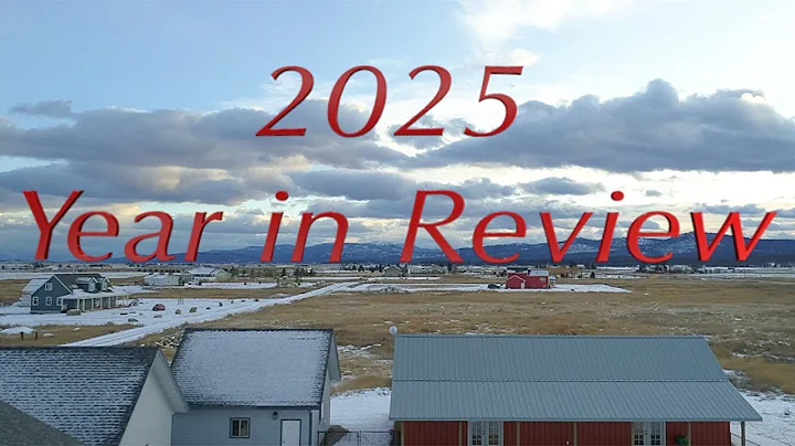 2025 Year in Review