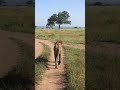 Mikochini Tanzania Mikochini Tanzania