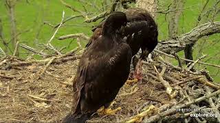 Decorah North 5-13-24 DN17 & DN18 share a fish