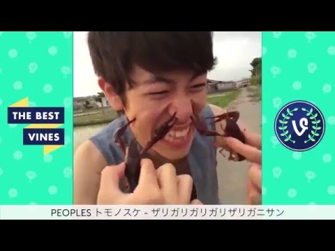 Best Weird Japanese Vines Compilation February 2016