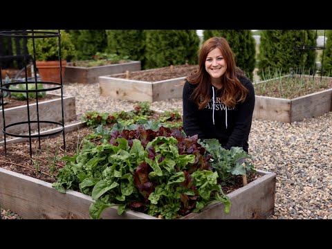 How to Grow Spinach for Beginners! 🌿👩‍🌾// Garden