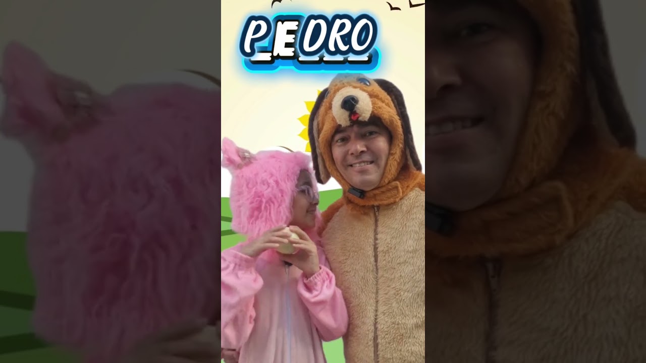 QUEM É A VERDADEIRA PEDRA DA IGREJA, JESUS OU PEDRO?