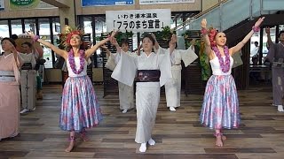 おかみが着物でフラ披露 いわきの温泉、魅力ＰＲ