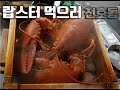 씨푸드박스 천호점.랍스터 맛집.훈남 직원들[감짱외출]금체질 잘먹고 면역 업해요