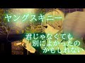 【ヤングスキニー/君じゃなくても別によかったのかもしれない】VRC弾語り