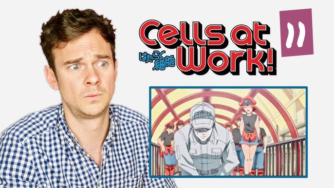 Scientists Praise 'Cells at Work!' For its Entertaining Accuracy