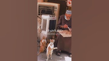 القارئ الشيخ : سعود الشريم - ما تيسر من سورة الذاريات 💜