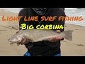 SoCal Light Line Sight Fishing for Corbina in the Surf