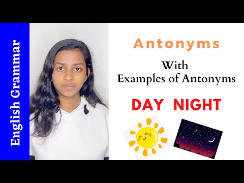 Antonyms | What is an Antonym (10 Antonym Examples with Sentences)